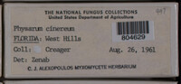 Image Associated With the Occurence